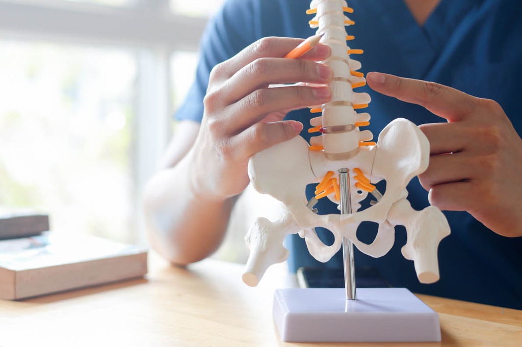 Visita iniziale piu trattamento Fisioterapia Trieste